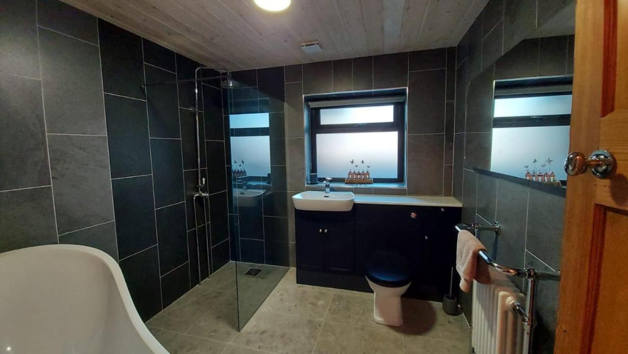Willa No 1 Dolheulog Aberaeron Sa46 0Ep Zewnętrze zdjęcie